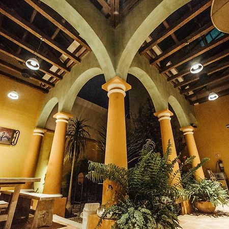 Snail Bed & Breakfast (Adults Only) San Cristóbal de Las Casas Exteriör bild
