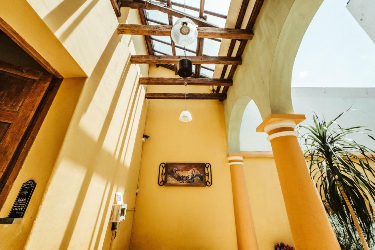 Snail Bed & Breakfast (Adults Only) San Cristóbal de Las Casas Exteriör bild