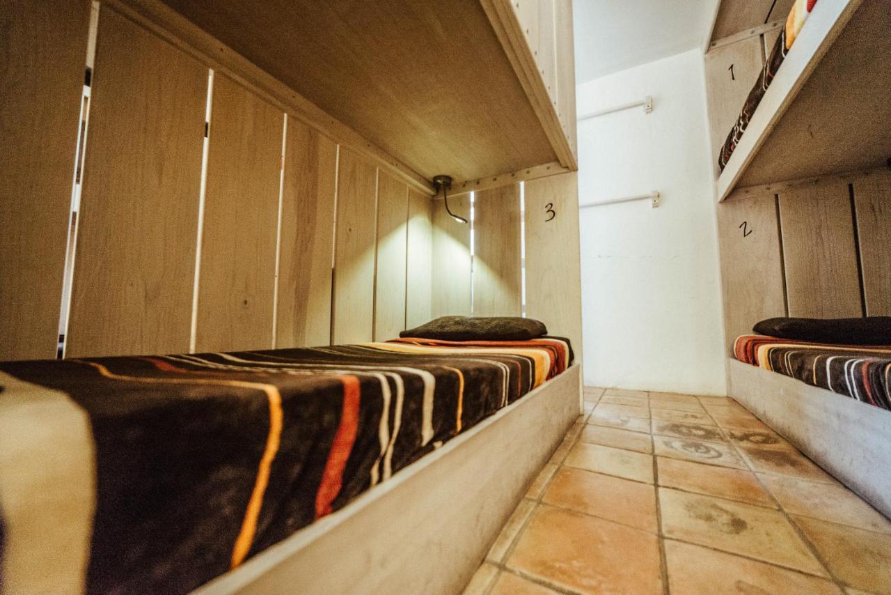 Snail Bed & Breakfast (Adults Only) San Cristóbal de Las Casas Exteriör bild